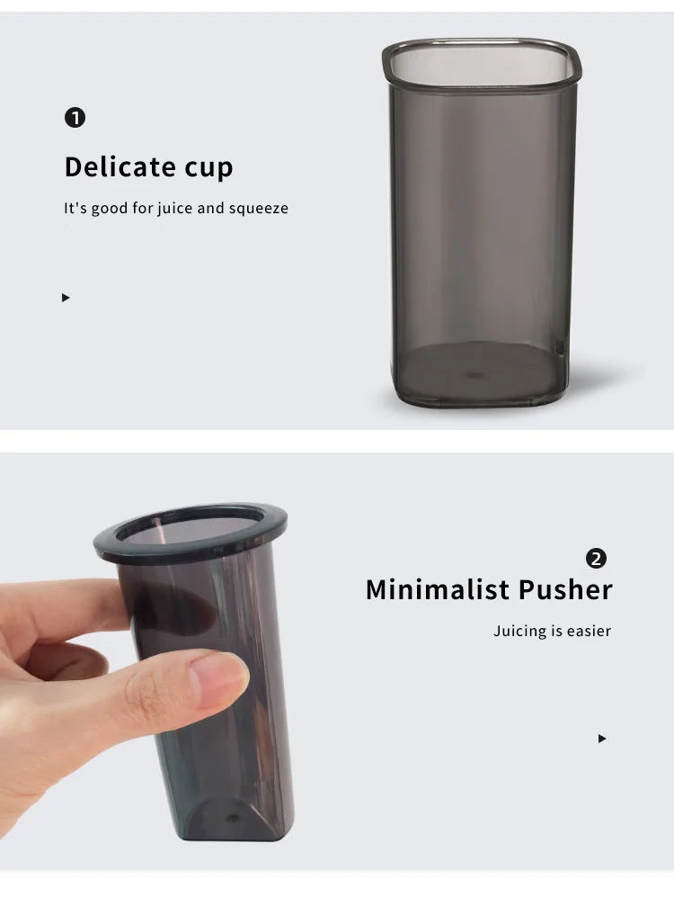 Press Slow Juicer