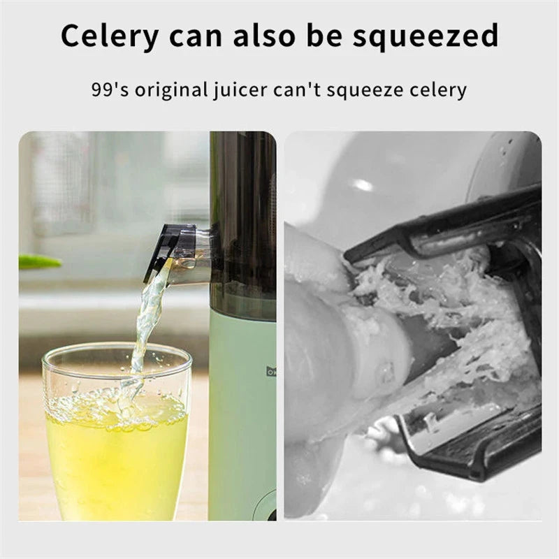 Press Slow Juicer