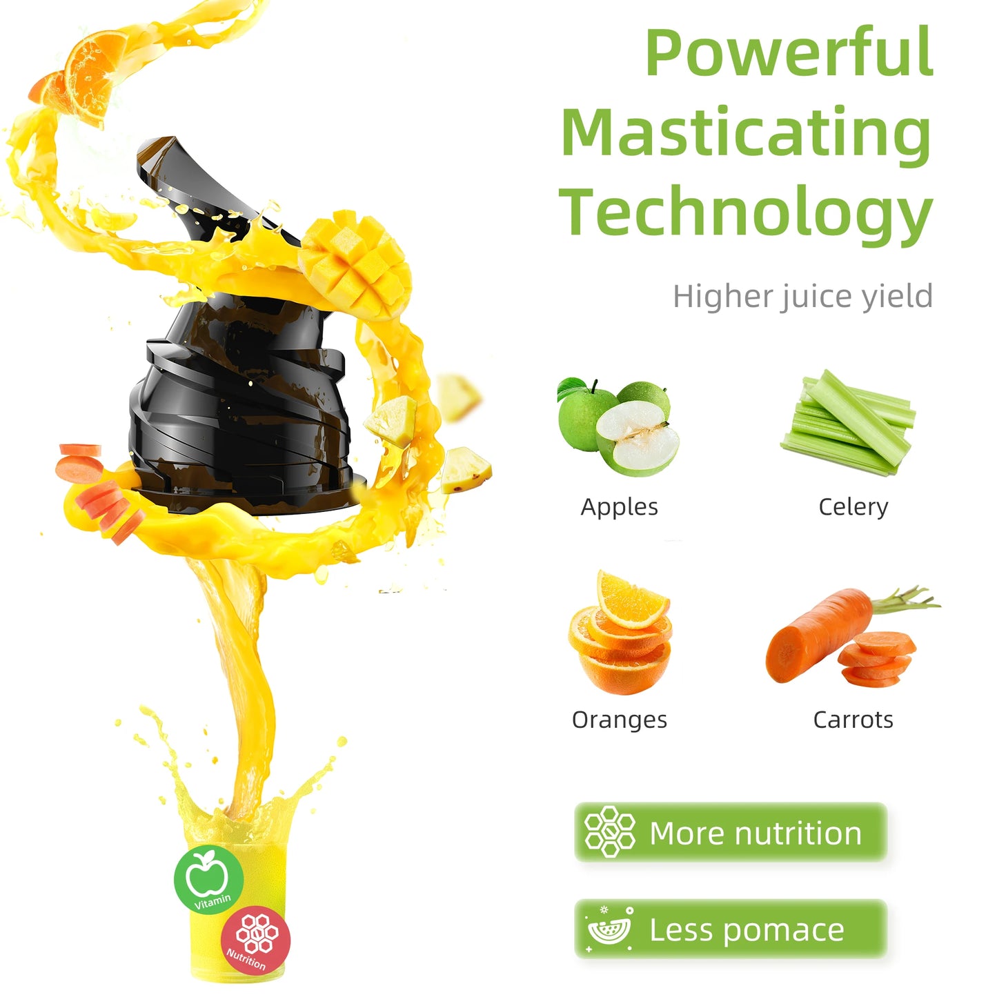 BioFlow Cold Press Juicer