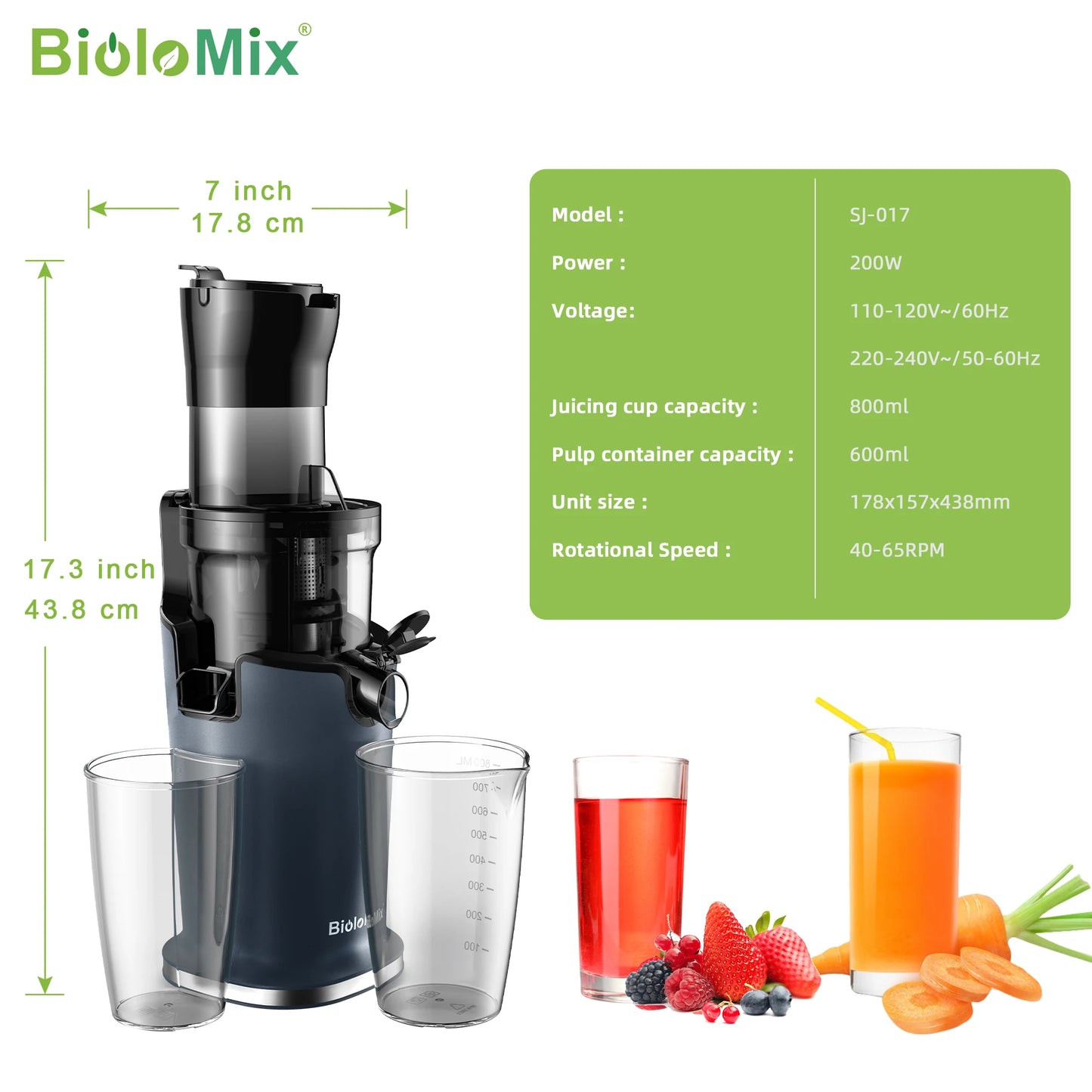 BioFlow Cold Press Juicer