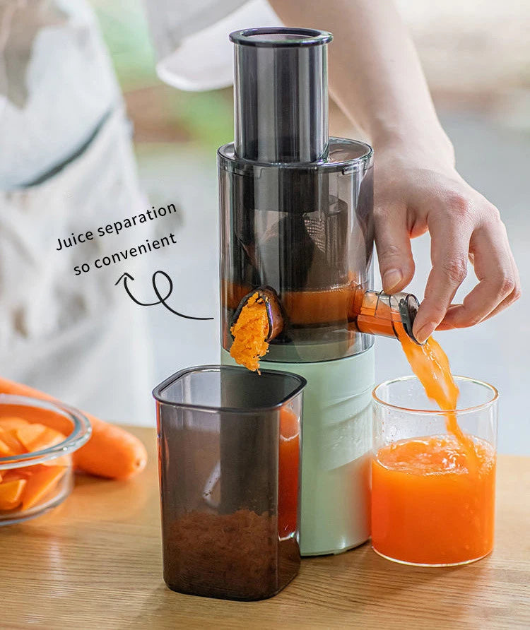 Press Slow Juicer