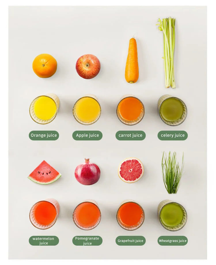 Press Slow Juicer
