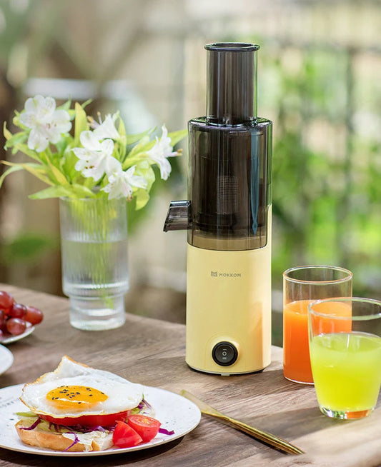 Press Slow Juicer
